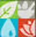 The Ayurved Co Coupon Codes